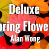 Spring Flowers