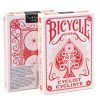 Bicycle Cyclist 1885